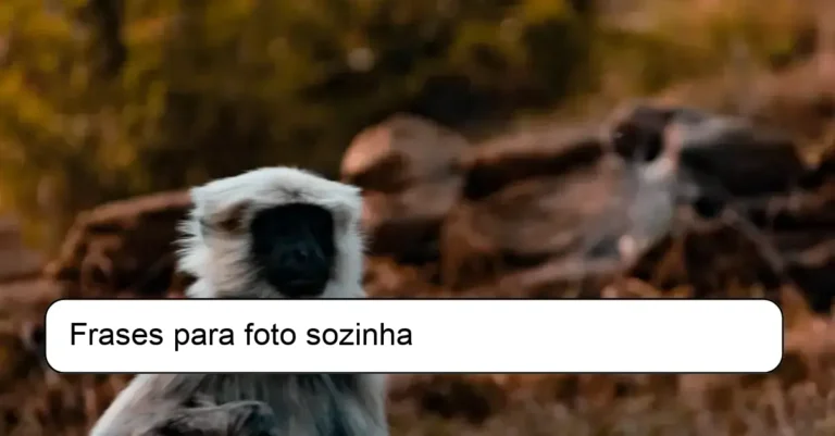 Frases para foto sozinha