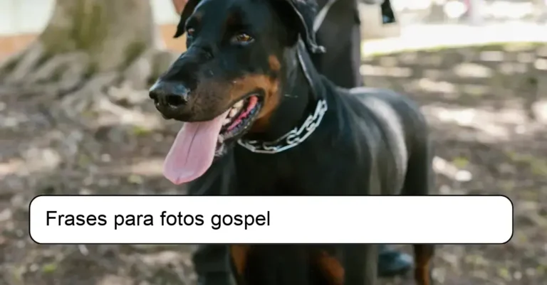 Frases para fotos gospel