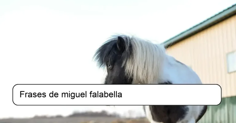 Frases de miguel falabella