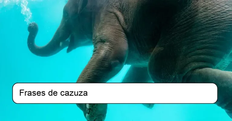 Frases de cazuza