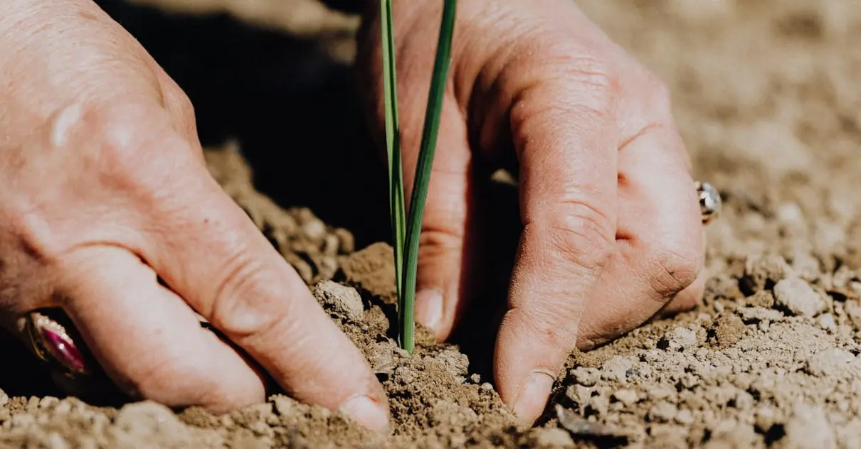 Frases de agronomia