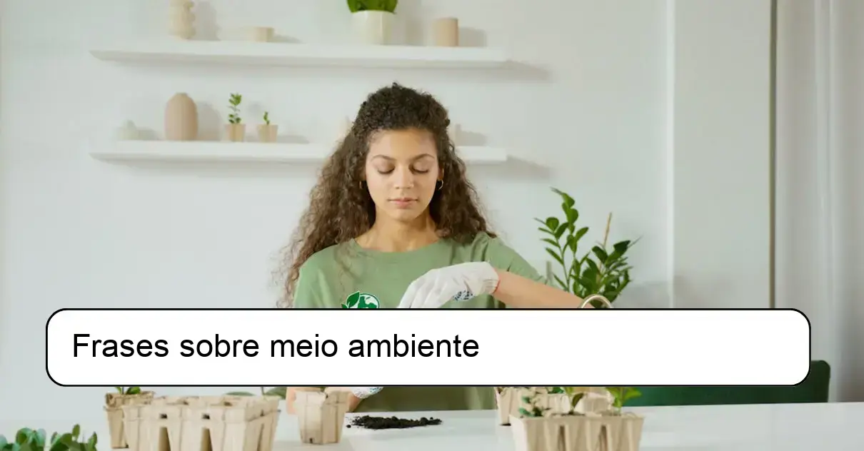 Frases sobre meio ambiente