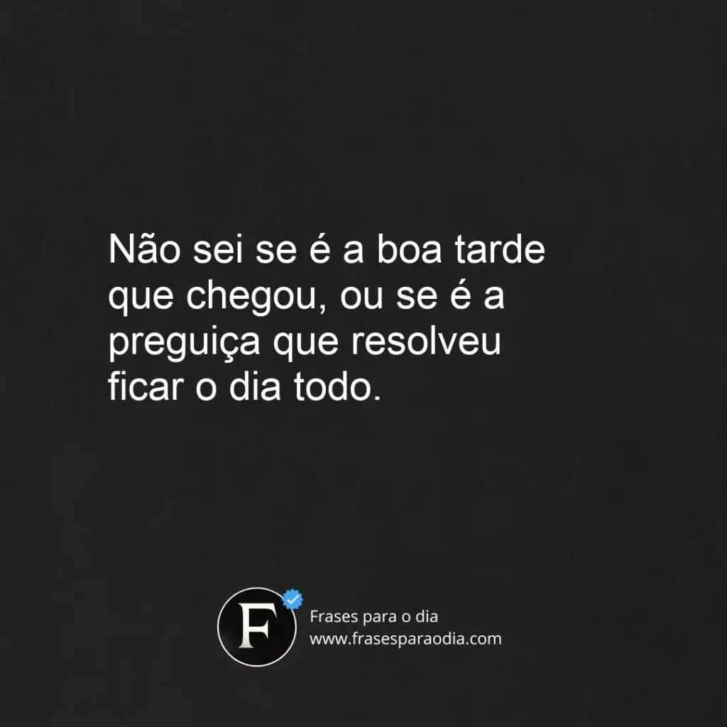 Frases de boa tarde engraçadas