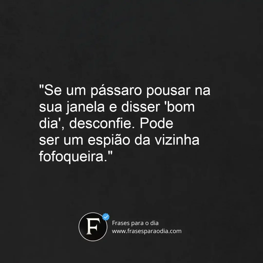 Frases de bom dia engraçado