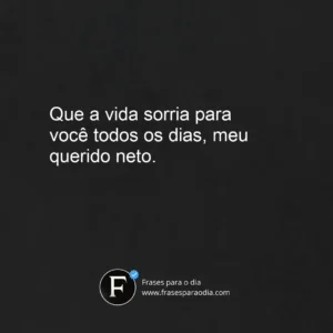 Frases para neto