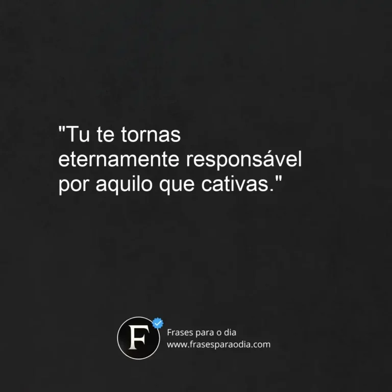 Frases do pequeno principe